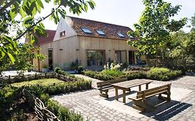 De kiezel